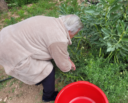 Jardinoterapia 2025 (1)