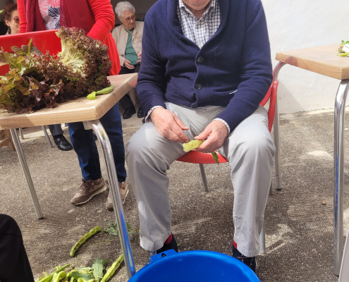 Jardinoterapia 2025 (12)