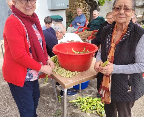 Jardinoterapia 2025 (15)