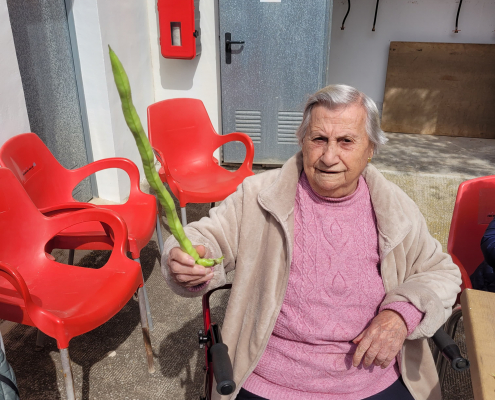 Jardinoterapia 2025 (2)