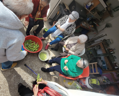 Jardinoterapia 2025 (3)