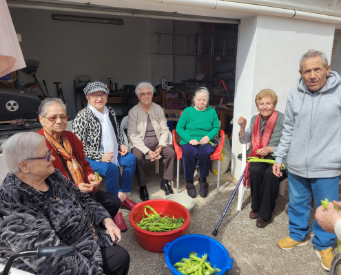 Jardinoterapia 2025 (4)