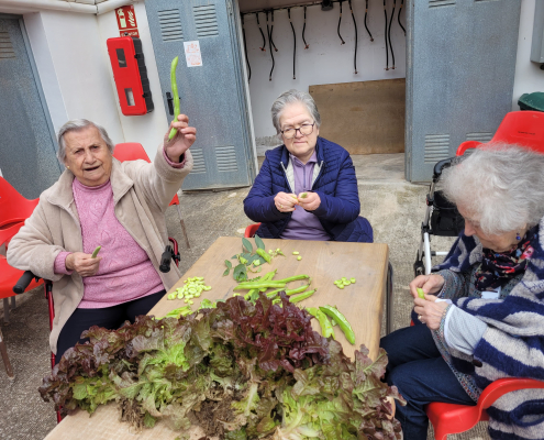 Jardinoterapia 2025 (6)