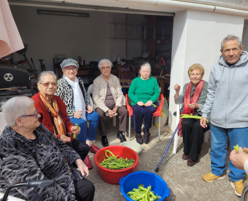 Jardinoterapia 2025 (7)