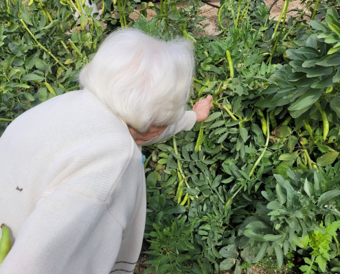 Jardinoterapia 2025 (8)