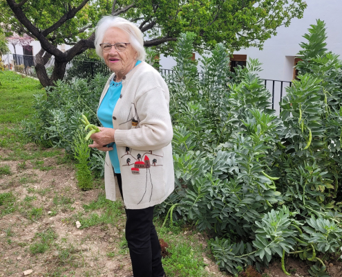 Jardinoterapia 2025 (9)