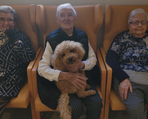 San Valentín 2025 (4)