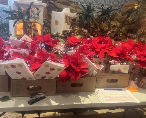 WhatsApp Image 2025-10-24 at 12.24.40 (3)